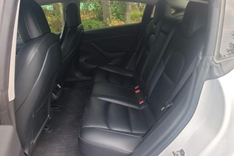 Used Tesla Model 3 2020 Standard Range Rear-Wheel Drive Upgraded Version Left Rear Seat