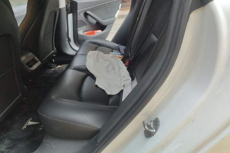 Used Tesla Model 3 2020 Standard Range Rear-Wheel Drive Upgraded Version Left Rear Seat