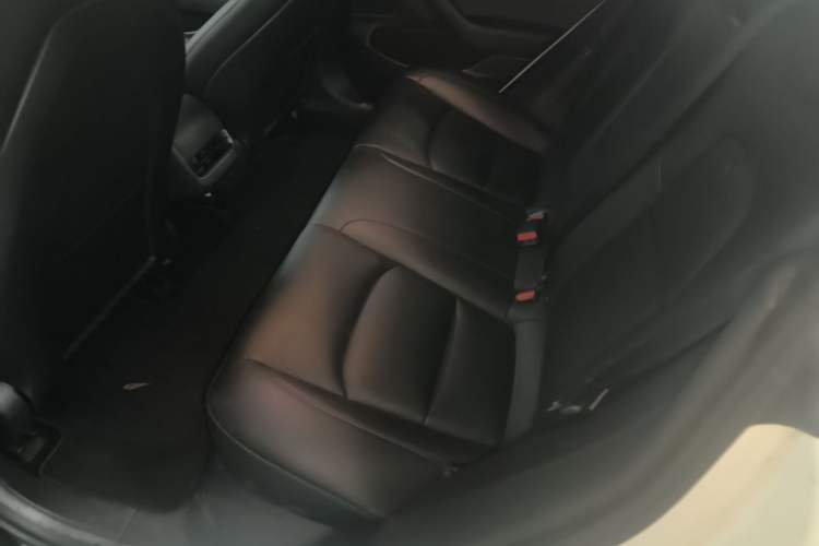 Used Tesla Model 3 2020 Refreshed Version Long-Range Rear-Wheel Drive Left Rear Seat