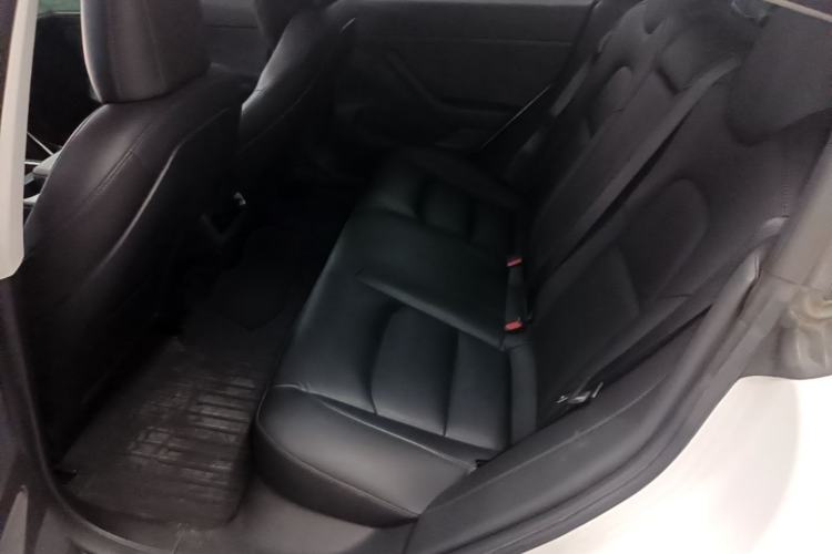 Used Tesla Model 3 2020 Standard Range Rear-Wheel Drive Upgraded Version Left Rear Seat