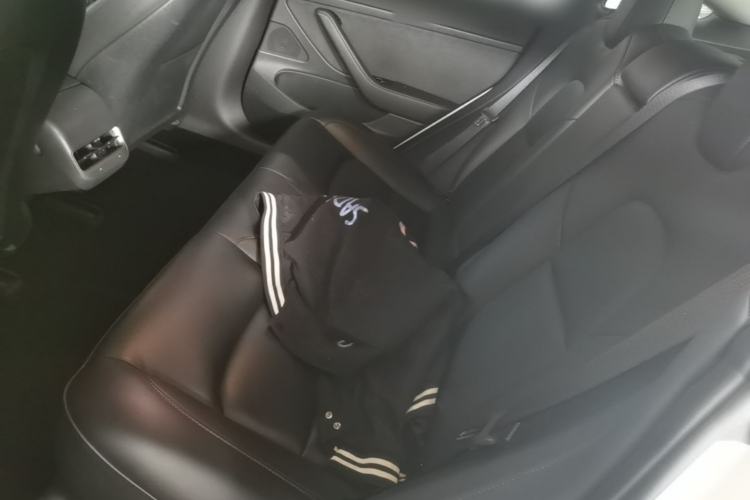 Used Tesla Model 3 2020 Revised Version Standard Range Rear-Wheel Drive – Upgraded Edition Left Rear Seat