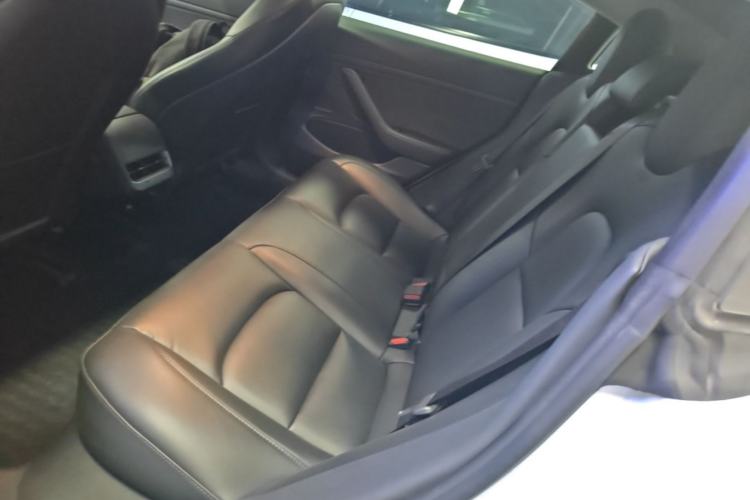 Used Tesla Model 3 2020 Revised Version Standard Range Rear-Wheel Drive – Upgraded Edition Left Rear Seat