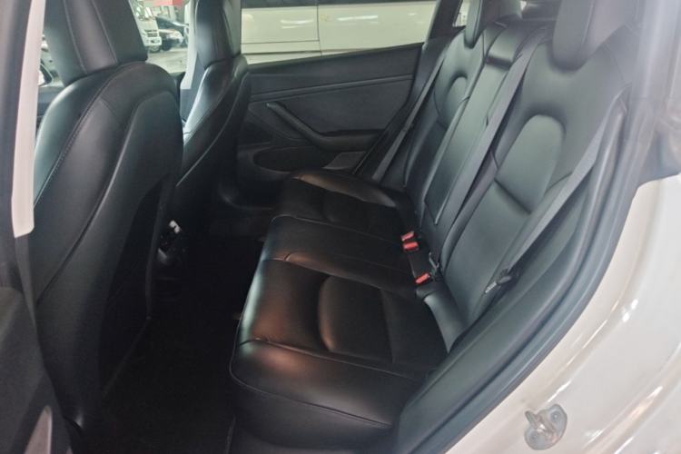 Used Tesla Model 3 2020 Standard Range Rear-Wheel Drive Upgraded Version Left Rear Seat