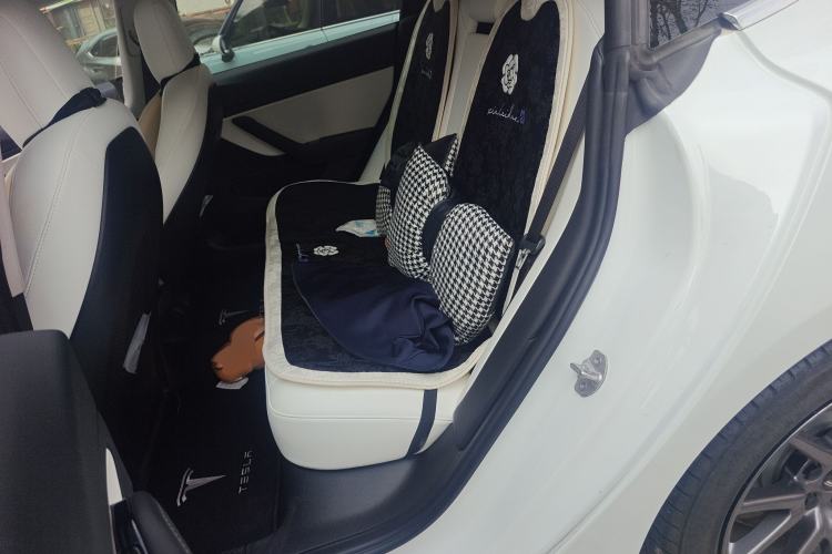 Used Tesla Model 3 2020 Revised Version Standard Range Rear-Wheel Drive – Upgraded Edition Left Rear Seat