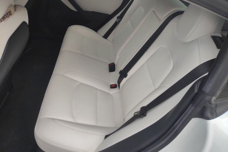 Used Tesla Model 3 2020 Revised Version Standard Range Rear-Wheel Drive – Upgraded Edition Left Rear Seat