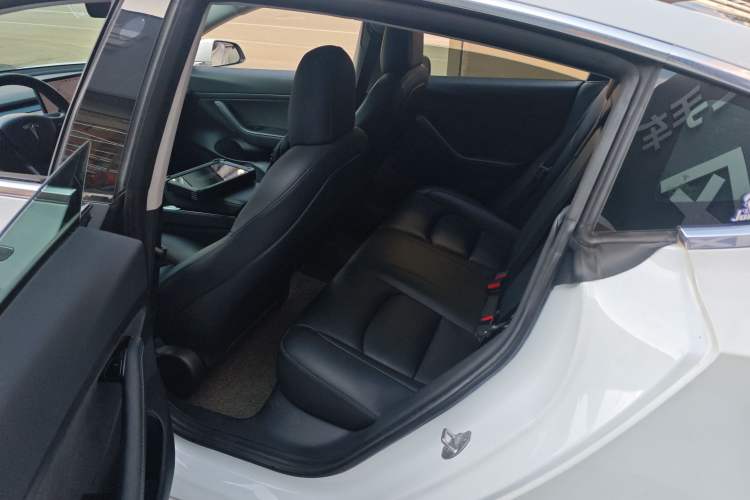 Used Tesla Model 3 2020 Revised Version Standard Range Rear-Wheel Drive – Upgraded Edition Left Rear Seat