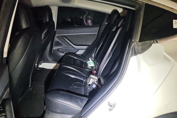 Used Tesla Model 3 2020 Standard Range Rear-Wheel Drive Upgraded Version Left Rear Seat