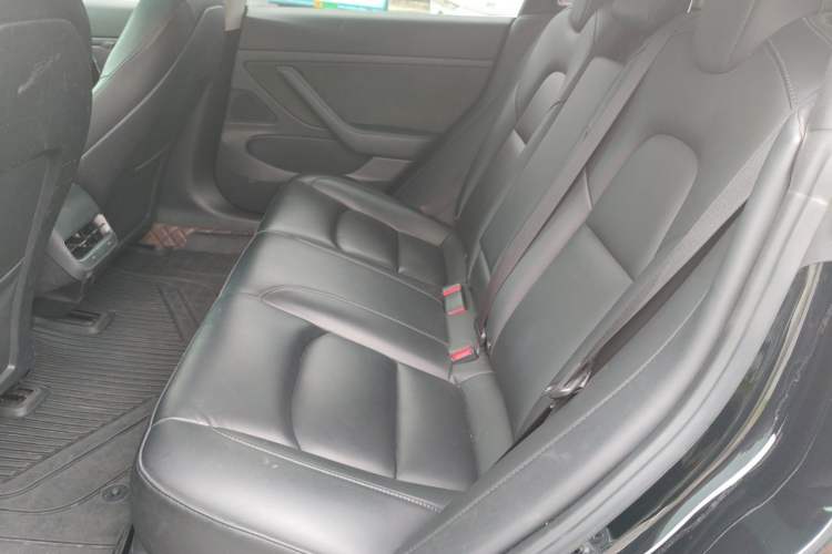Used Tesla Model 3 2020 Revised Version Standard Range Rear-Wheel Drive – Upgraded Edition Left Rear Seat