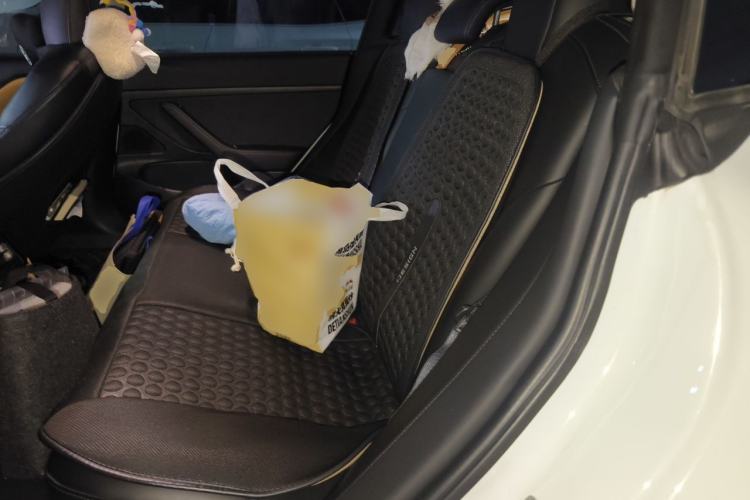 Used Tesla Model 3 2020 Standard Range Rear-Wheel Drive Upgraded Version Left Rear Seat