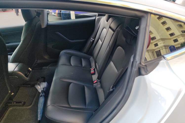 Used Tesla Model 3 2020 Standard Range Rear-Wheel Drive Upgraded Version Left Rear Seat