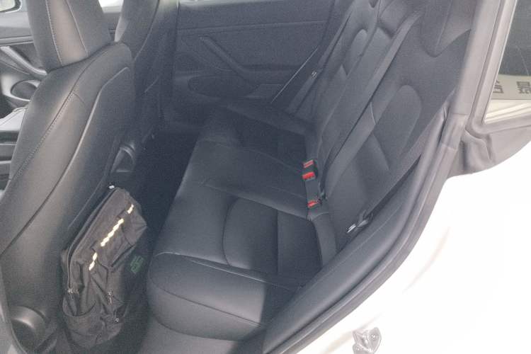 Used Tesla Model 3 2020 Standard Range Rear-Wheel Drive Upgraded Version Left Rear Seat