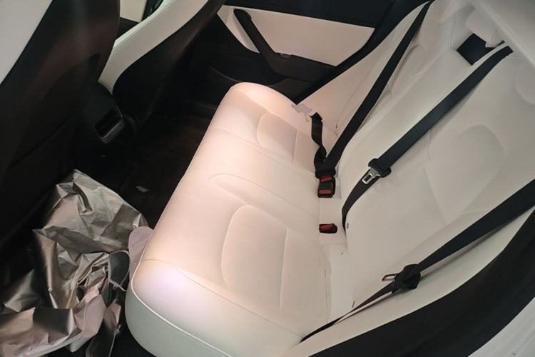 Used Tesla Model 3 2020 Refreshed Version Long-Range Rear-Wheel Drive Left Rear Seat