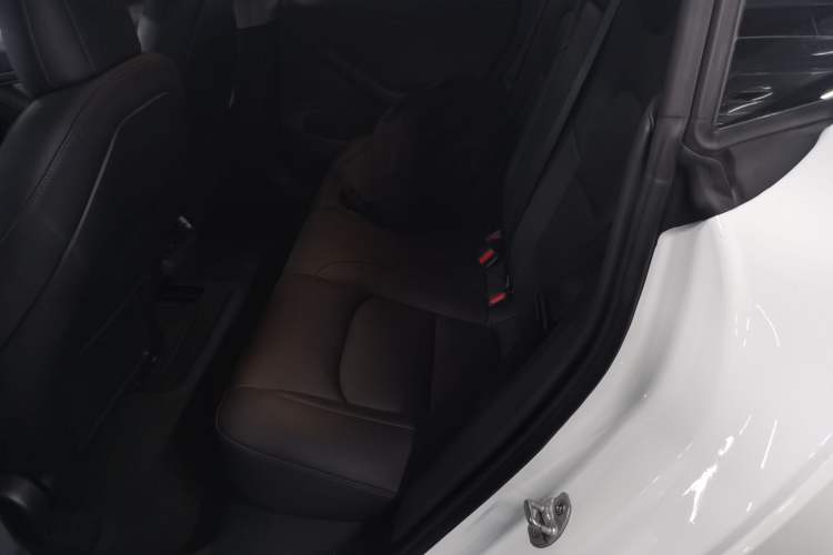 Used Tesla Model 3 2020 Revised Version Standard Range Rear-Wheel Drive – Upgraded Edition Left Rear Seat