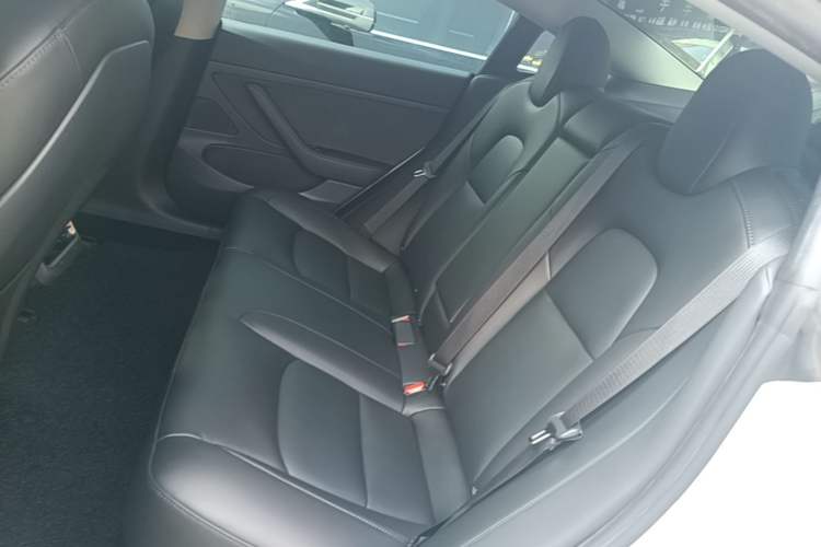 Used Tesla Model 3 2020 Revised Version Standard Range Rear-Wheel Drive – Upgraded Edition Left Rear Seat