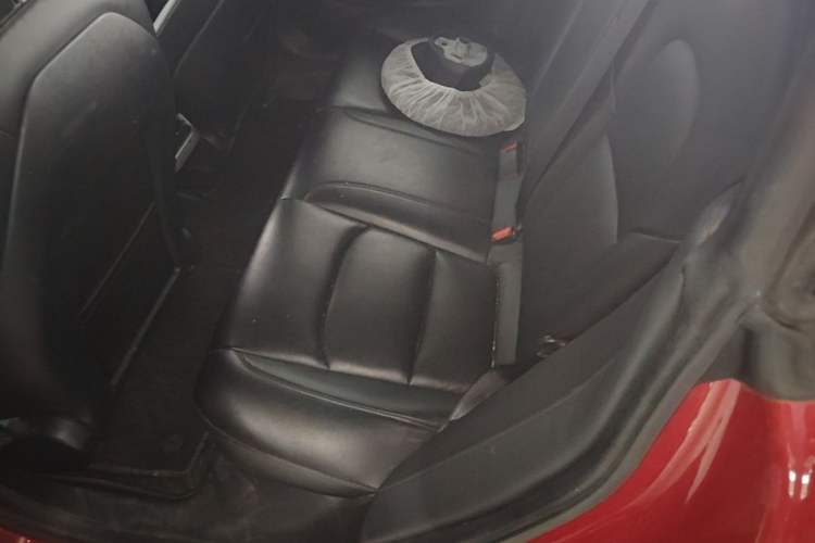 Used Tesla Model 3 2020 Standard Range Rear-Wheel Drive Upgraded Version Left Rear Seat