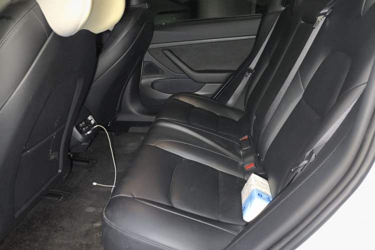 Used Tesla Model 3 2020 Revised Version Standard Range Rear-Wheel Drive – Upgraded Edition Left Rear Seat