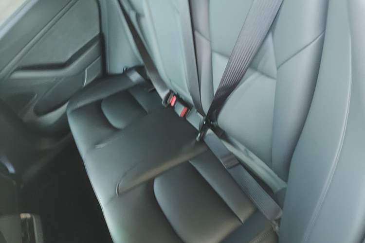 Used Tesla Model 3 2020 Revised Version Standard Range Rear-Wheel Drive – Upgraded Edition Left Rear Seat