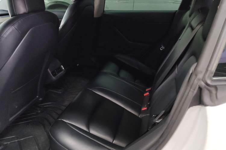 Used Tesla Model 3 2020 Refreshed Version Long-Range Rear-Wheel Drive Left Rear Seat
