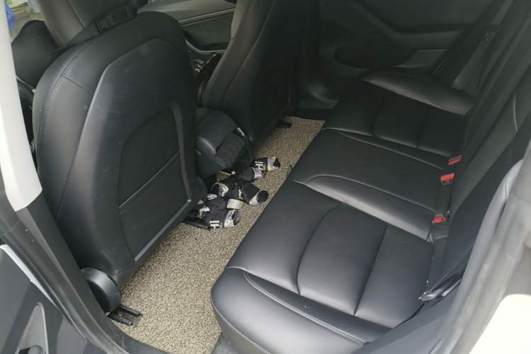 Used Tesla Model 3 2020 Revised Version Standard Range Rear-Wheel Drive – Upgraded Edition Left Rear Seat