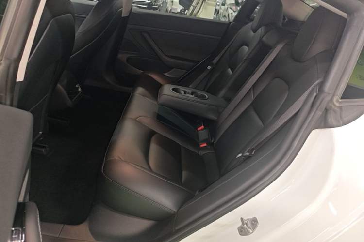 Used Tesla Model 3 2020 Standard Range Rear-Wheel Drive Upgraded Version Left Rear Seat