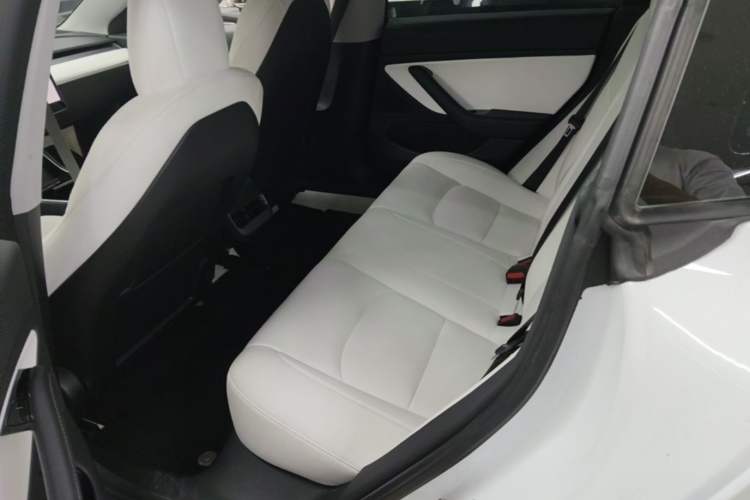 Used Tesla Model 3 2020 Standard Range Rear-Wheel Drive Upgraded Version Left Rear Seat