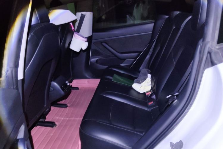 Used Tesla Model 3 2020 Standard Range Rear-Wheel Drive Upgraded Version Left Rear Seat
