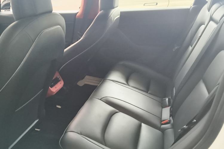 Used Tesla Model 3 2020 Revised Version Standard Range Rear-Wheel Drive – Upgraded Edition Left Rear Seat