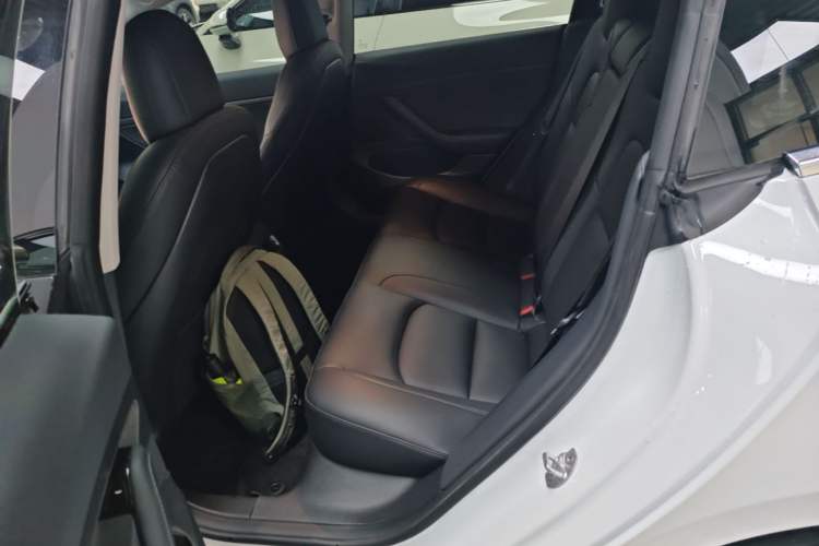 Used Tesla Model 3 2020 Standard Range Rear-Wheel Drive Upgraded Version Left Rear Seat