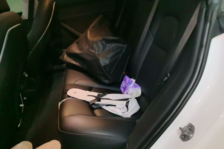 Used Tesla Model 3 2020 Revised Version Standard Range Rear-Wheel Drive – Upgraded Edition Left Rear Seat