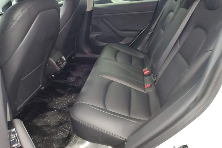 Used Tesla Model 3 2020 Standard Range Rear-Wheel Drive Upgraded Version Left Rear Seat