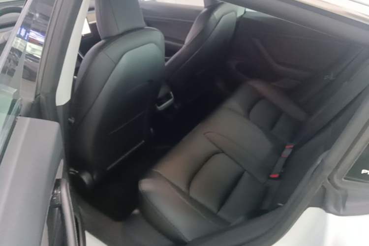 Used Tesla Model 3 2020 Standard Range Rear-Wheel Drive Upgraded Version Left Rear Seat