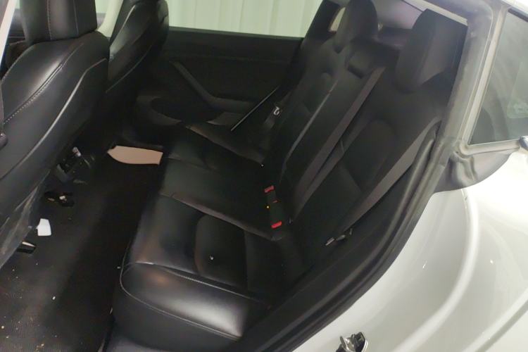 Used Tesla Model 3 2020 Revised Version Standard Range Rear-Wheel Drive – Upgraded Edition Left Rear Seat
