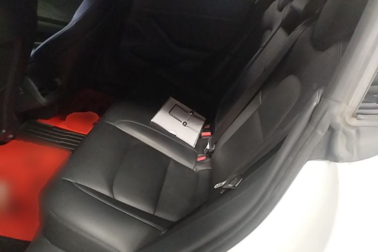 Used Tesla Model 3 2020 Revised Version Standard Range Rear-Wheel Drive – Upgraded Edition Left Rear Seat