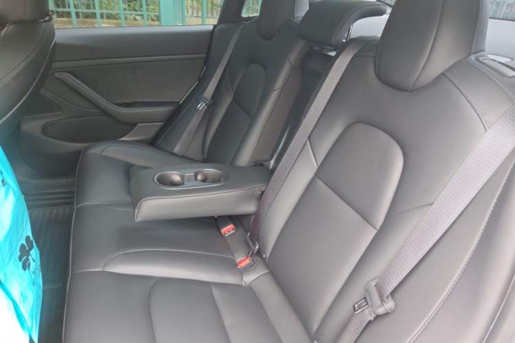 Used Tesla Model 3 2020 Revised Version Standard Range Rear-Wheel Drive – Upgraded Edition Left Rear Seat