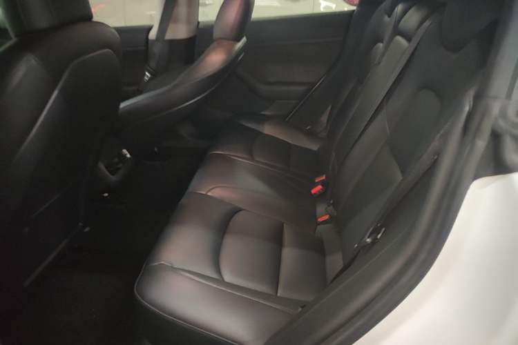 Used Tesla Model 3 2020 Standard Range Rear-Wheel Drive Upgraded Version Left Rear Seat
