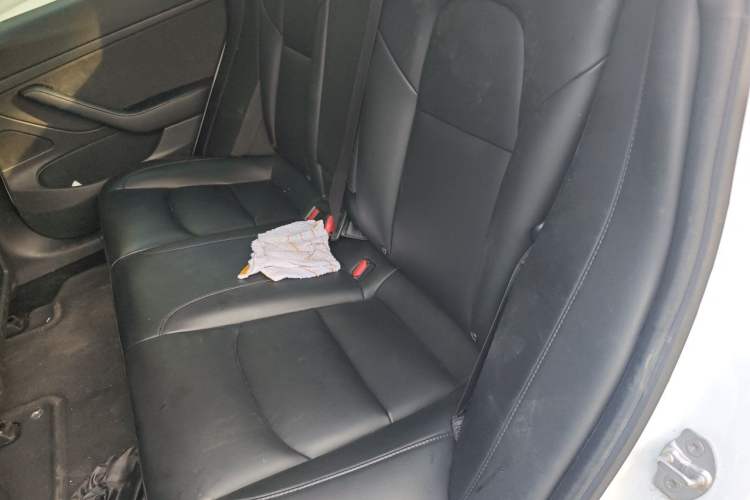 Used Tesla Model 3 2020 Refreshed Version Long-Range Rear-Wheel Drive Left Rear Seat