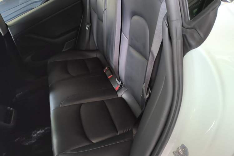 Used Tesla Model 3 2020 Refreshed Version Long-Range Rear-Wheel Drive Left Rear Seat