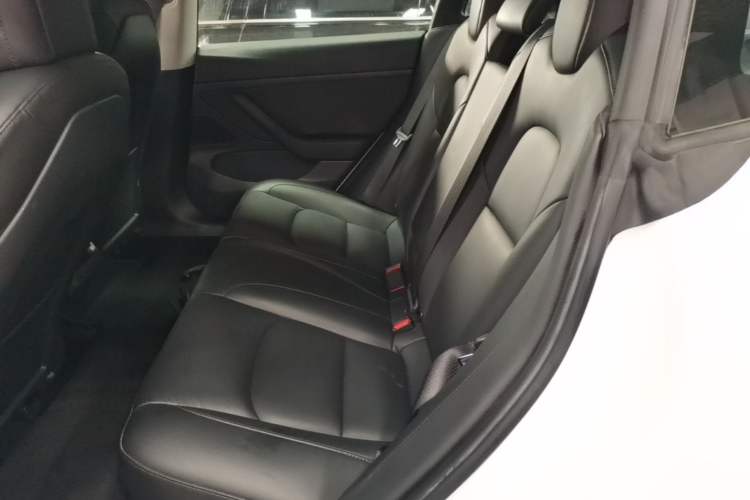 Used Tesla Model 3 2020 Standard Range Rear-Wheel Drive Upgraded Version Left Rear Seat