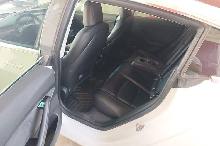 Used Tesla Model 3 2020 Standard Range Rear-Wheel Drive Upgraded Version Left Rear Seat