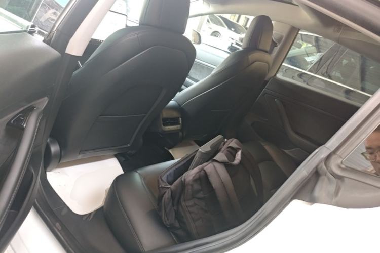Used Tesla Model 3 2020 Revised Version Standard Range Rear-Wheel Drive – Upgraded Edition Left Rear Seat