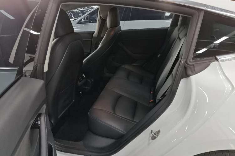 Used Tesla Model 3 2020 Revised Version Standard Range Rear-Wheel Drive – Upgraded Edition Left Rear Seat