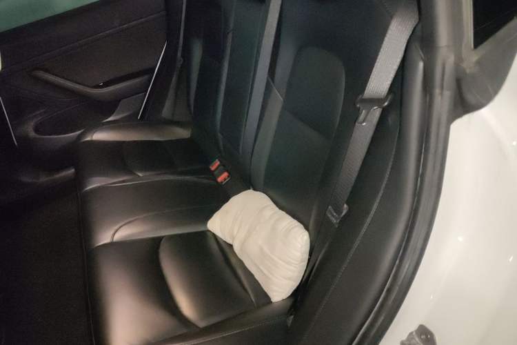 Used Tesla Model 3 2020 Standard Range Rear-Wheel Drive Upgraded Version Left Rear Seat