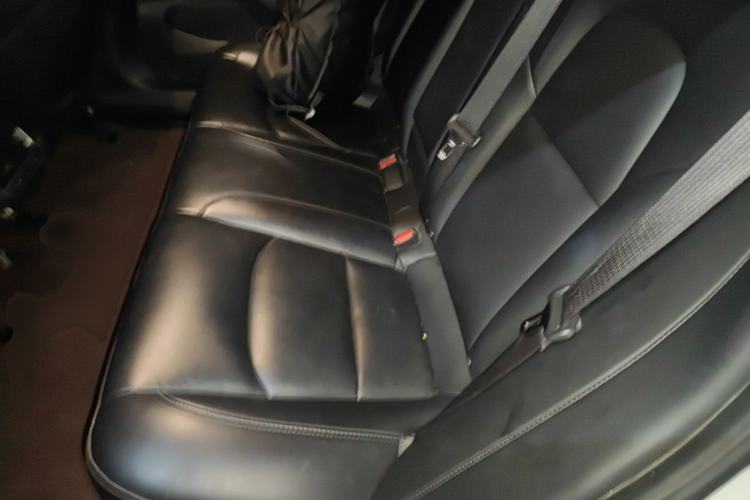 Used Tesla Model 3 2020 Revised Version Standard Range Rear-Wheel Drive – Upgraded Edition Left Rear Seat