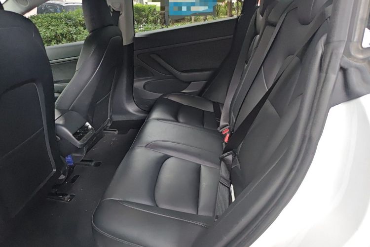 Used Tesla Model 3 2020 Revised Version Standard Range Rear-Wheel Drive – Upgraded Edition Left Rear Seat