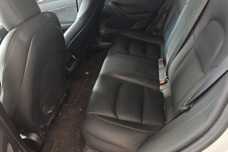 Used Tesla Model 3 2020 Revised Version Standard Range Rear-Wheel Drive – Upgraded Edition Left Rear Seat