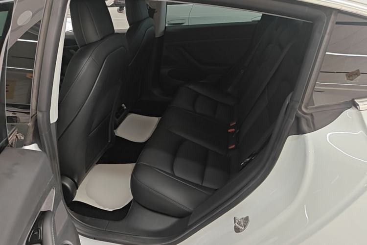 Used Tesla Model 3 2020 Revised Version Standard Range Rear-Wheel Drive – Upgraded Edition Left Rear Seat