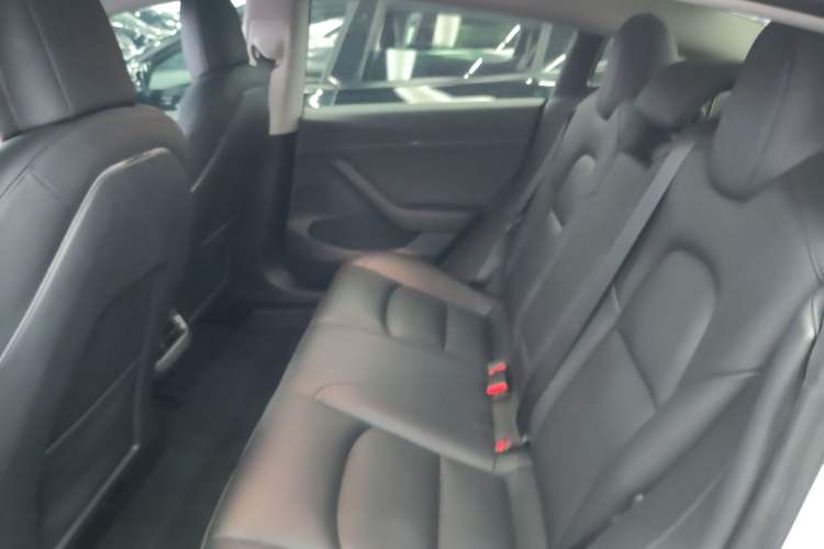Used Tesla Model 3 2020 Revised Version Standard Range Rear-Wheel Drive – Upgraded Edition Left Rear Seat