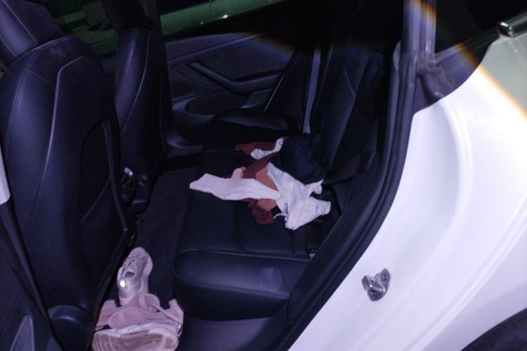Used Tesla Model 3 2020 Standard Range Rear-Wheel Drive Upgraded Version Left Rear Seat