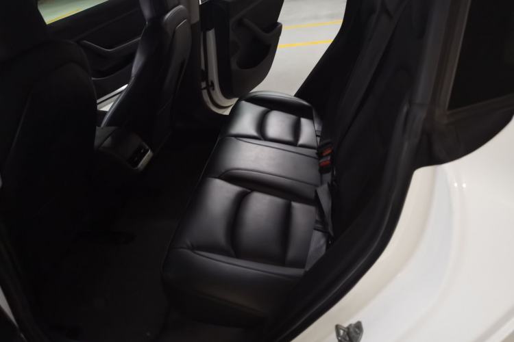 Used Tesla Model 3 2020 Revised Version Standard Range Rear-Wheel Drive – Upgraded Edition Left Rear Seat