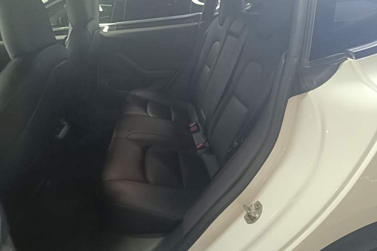 Used Tesla Model 3 2020 Standard Range Rear-Wheel Drive Upgraded Version Left Rear Seat